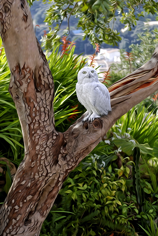 001 BaumDSC_4983 Kopie.jpg